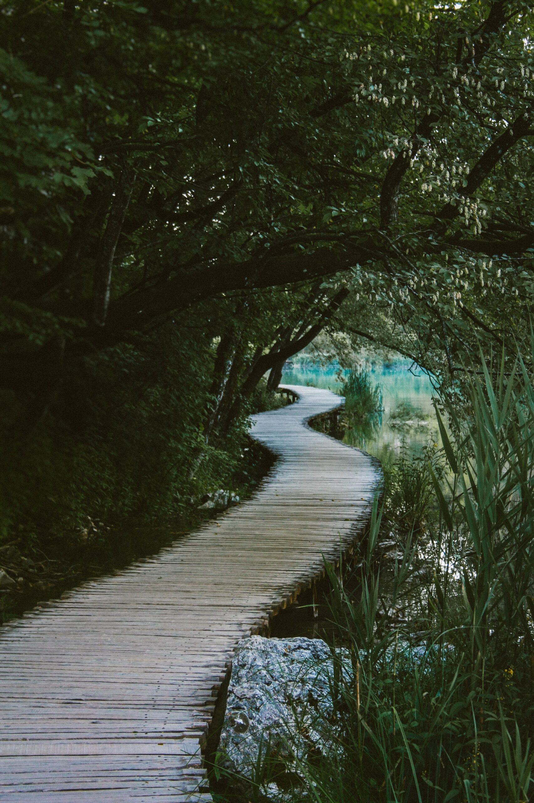 Your spiritual journey